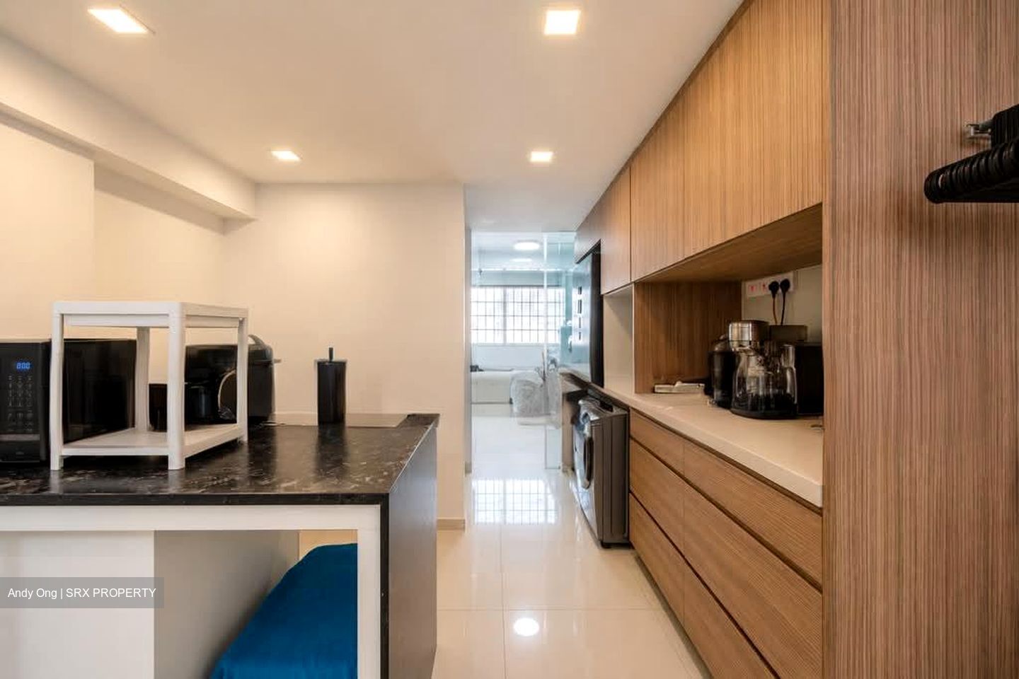 Blk 11 Di Tanjong Rhu (Kallang/Whampoa), HDB Executive #562822381
